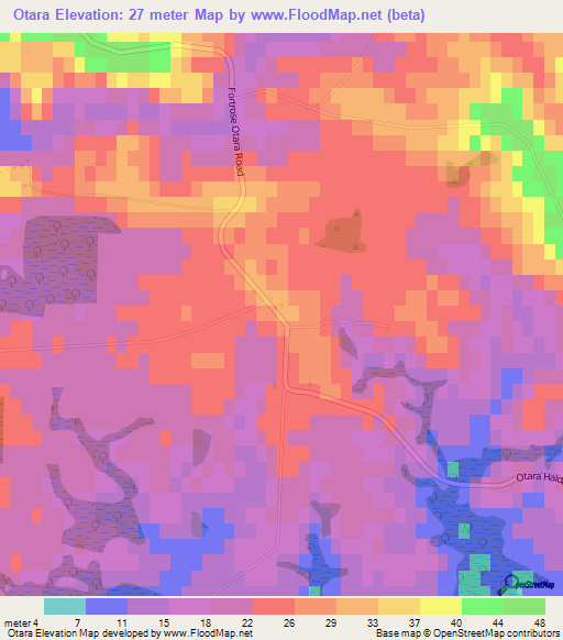 Otara,New Zealand Elevation Map