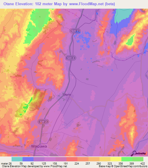 Otane,New Zealand Elevation Map