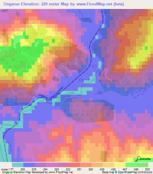 Ongarue,New Zealand Elevation Map