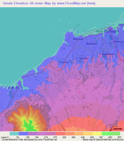 Omata,New Zealand Elevation Map