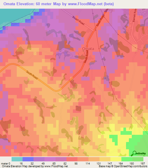 Omata,New Zealand Elevation Map