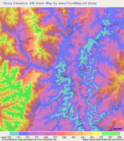 Ohura,New Zealand Elevation Map