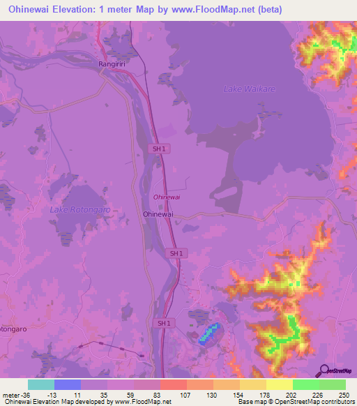 Ohinewai,New Zealand Elevation Map