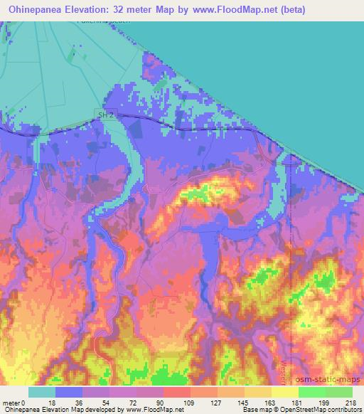 Ohinepanea,New Zealand Elevation Map