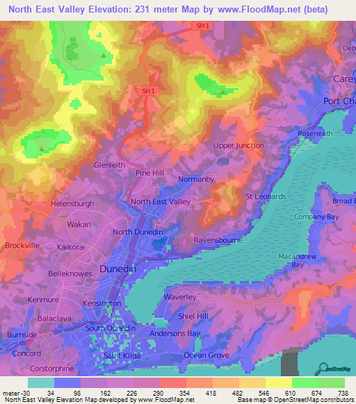 North East Valley,New Zealand Elevation Map