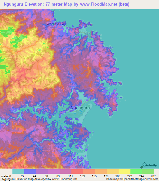Ngunguru,New Zealand Elevation Map