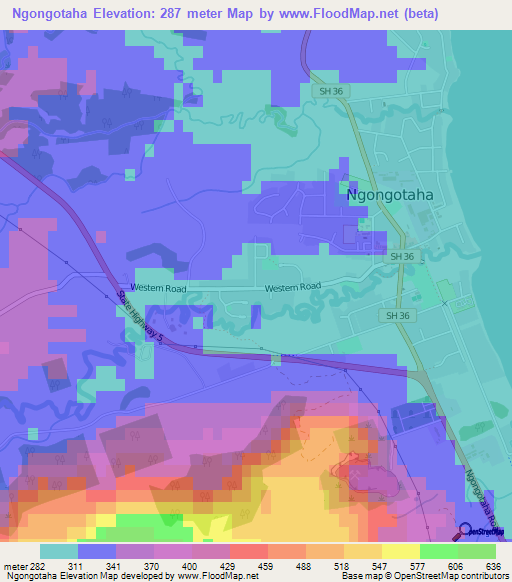 Ngongotaha,New Zealand Elevation Map