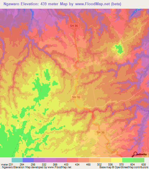 Ngawaro,New Zealand Elevation Map