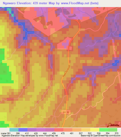 Ngawaro,New Zealand Elevation Map