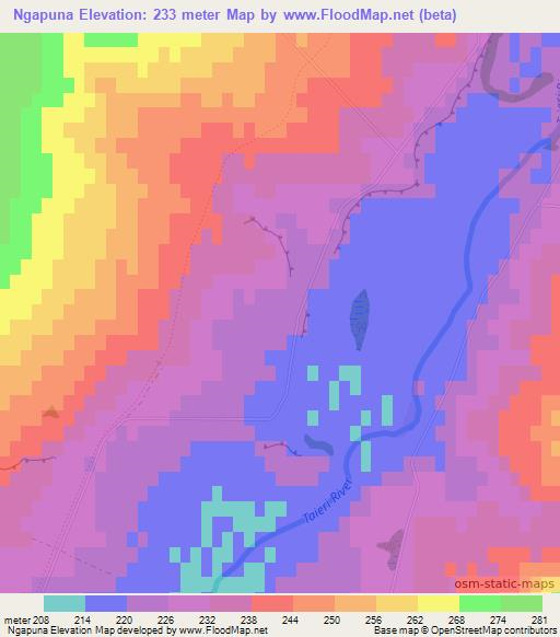 Ngapuna,New Zealand Elevation Map