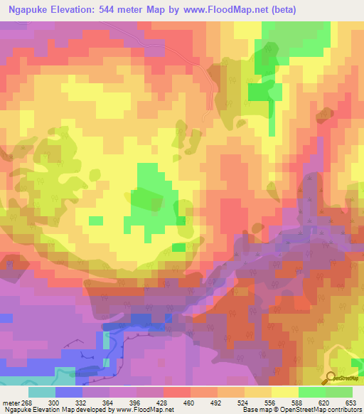 Ngapuke,New Zealand Elevation Map