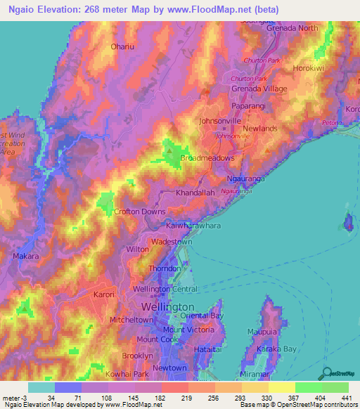 Ngaio,New Zealand Elevation Map