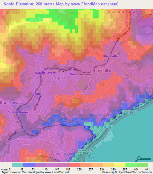 Ngaio,New Zealand Elevation Map