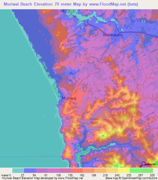 Muriwai Beach,New Zealand Elevation Map