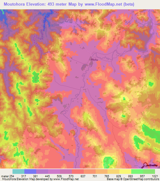 Moutohora,New Zealand Elevation Map