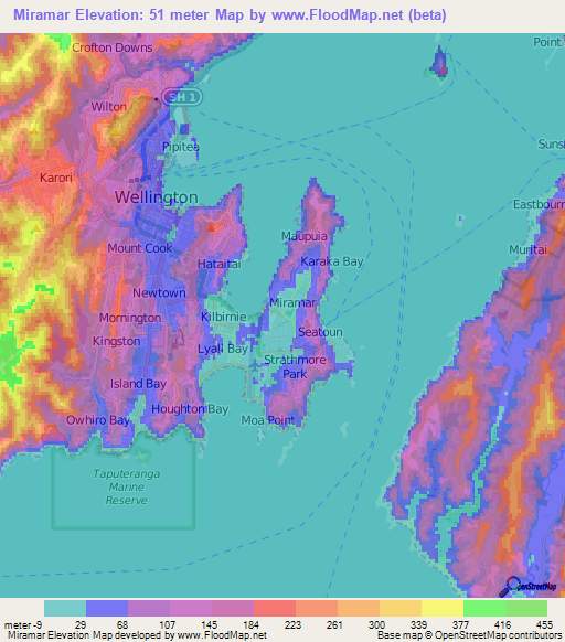 Miramar,New Zealand Elevation Map