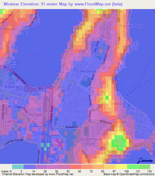 Miramar,New Zealand Elevation Map