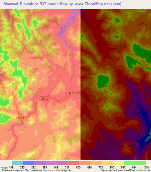 Matawai,New Zealand Elevation Map