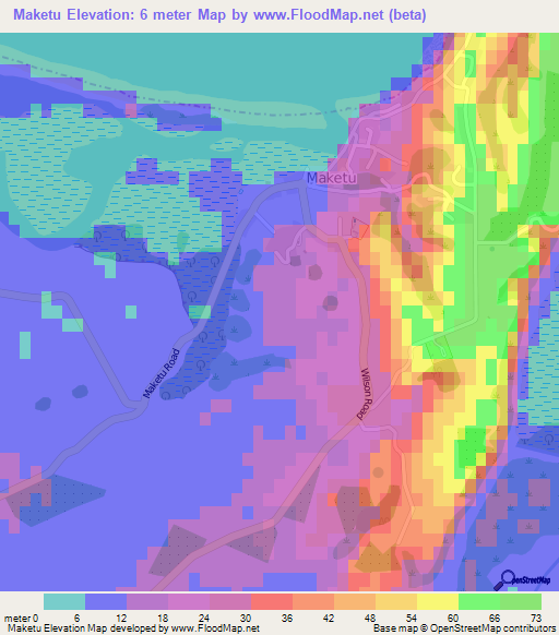 Maketu,New Zealand Elevation Map