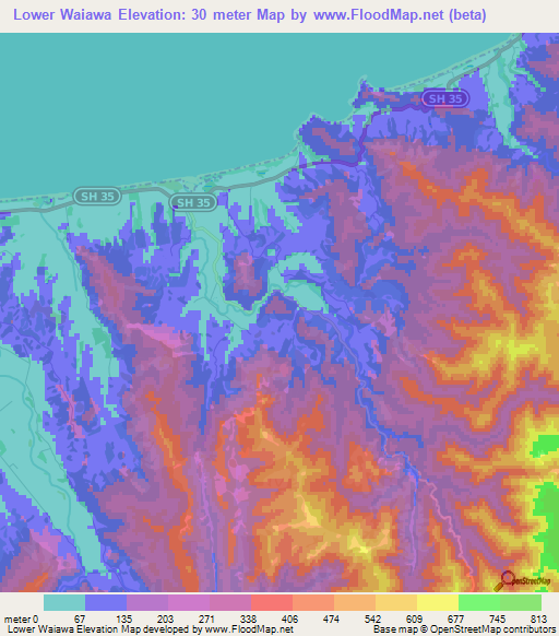 Lower Waiawa,New Zealand Elevation Map
