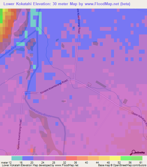 Lower Kokatahi,New Zealand Elevation Map