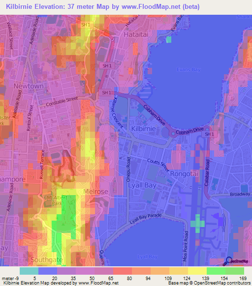 Kilbirnie,New Zealand Elevation Map