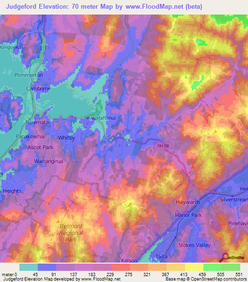 Judgeford,New Zealand Elevation Map