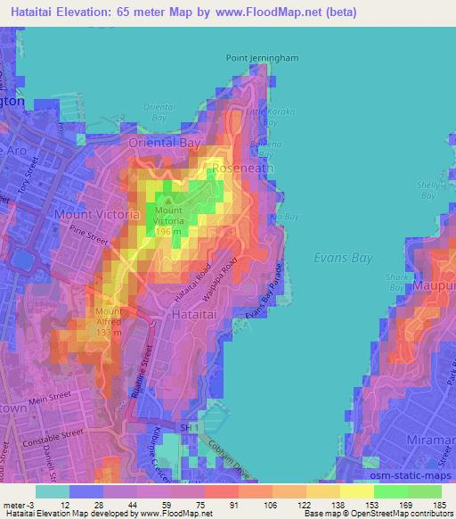 Hataitai,New Zealand Elevation Map