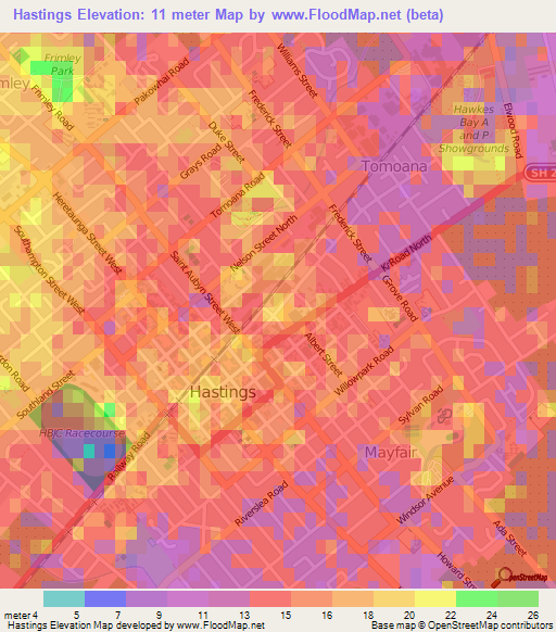 Hastings,New Zealand Elevation Map