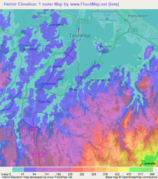 Hairini,New Zealand Elevation Map
