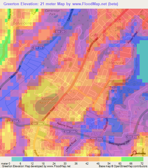 Greerton,New Zealand Elevation Map