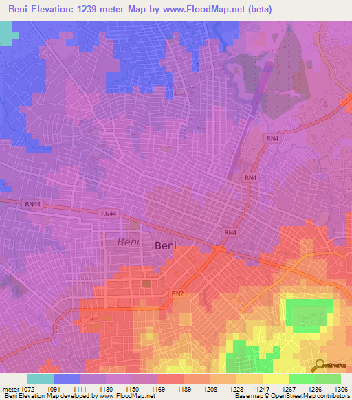 Beni,Congo (Kinshasa) Elevation Map