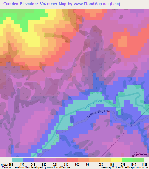 Camden,New Zealand Elevation Map