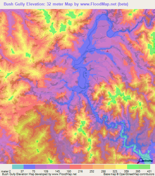 Bush Gully,New Zealand Elevation Map
