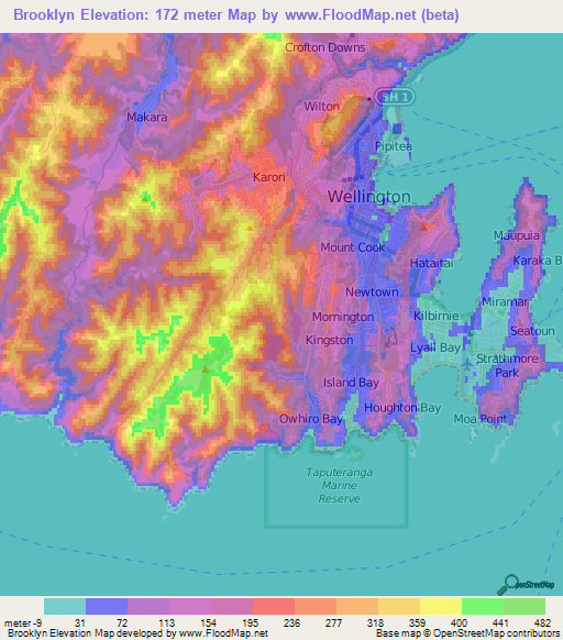 Brooklyn,New Zealand Elevation Map