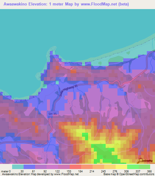 Awaawakino,New Zealand Elevation Map