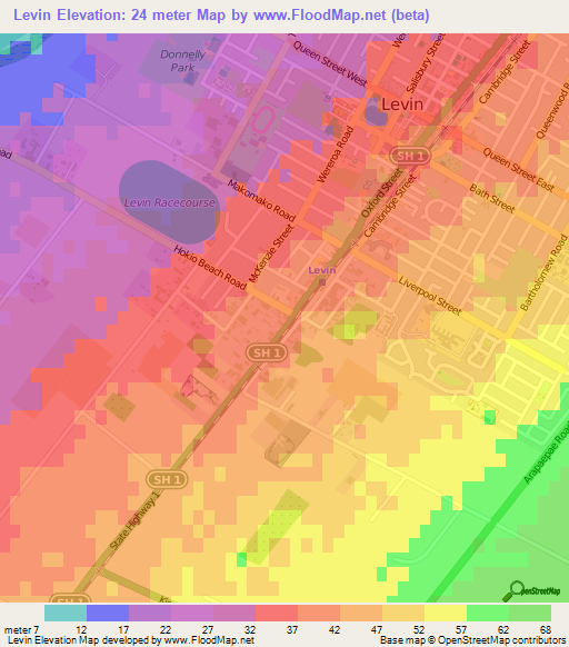 Levin,New Zealand Elevation Map