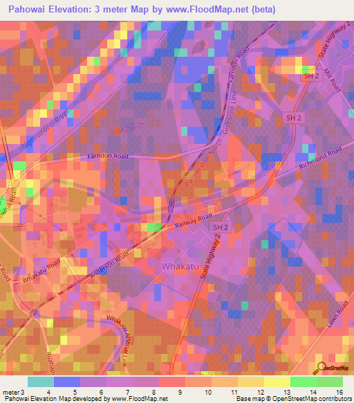 Pahowai,New Zealand Elevation Map