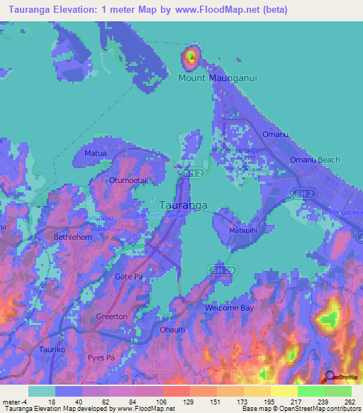 Tauranga,New Zealand Elevation Map
