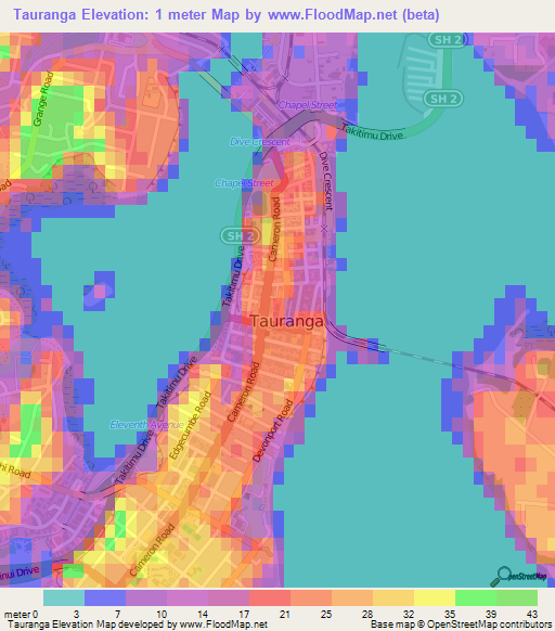 Tauranga,New Zealand Elevation Map