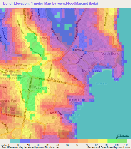 Bondi,Australia Elevation Map