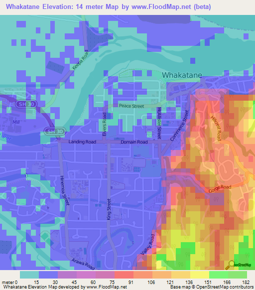 Whakatane,New Zealand Elevation Map