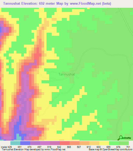 Tannushat,Libya Elevation Map