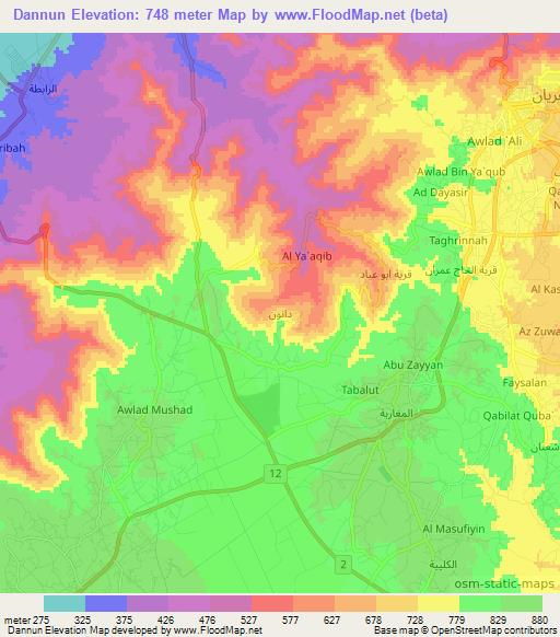 Dannun,Libya Elevation Map