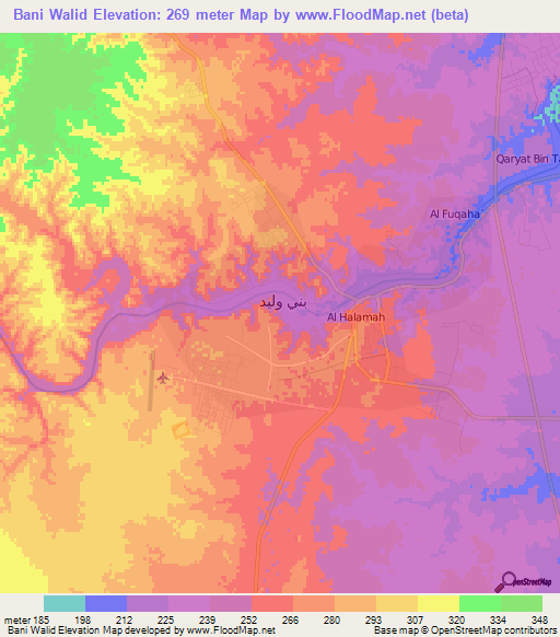 Bani Walid,Libya Elevation Map