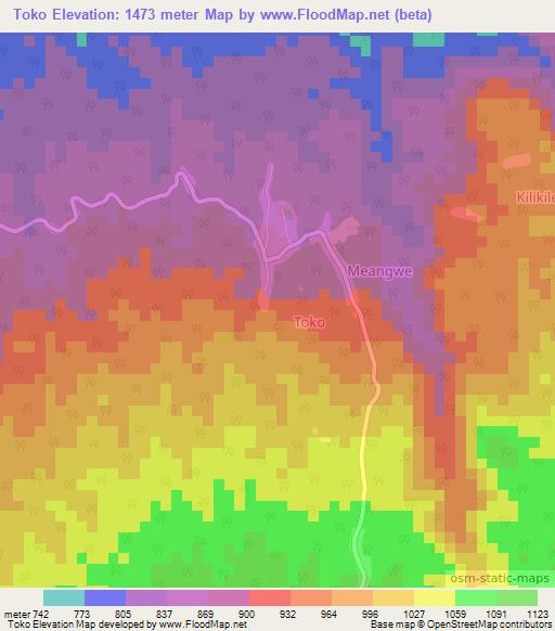 Toko,Cameroon Elevation Map