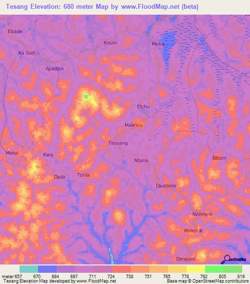 Tesang,Cameroon Elevation Map