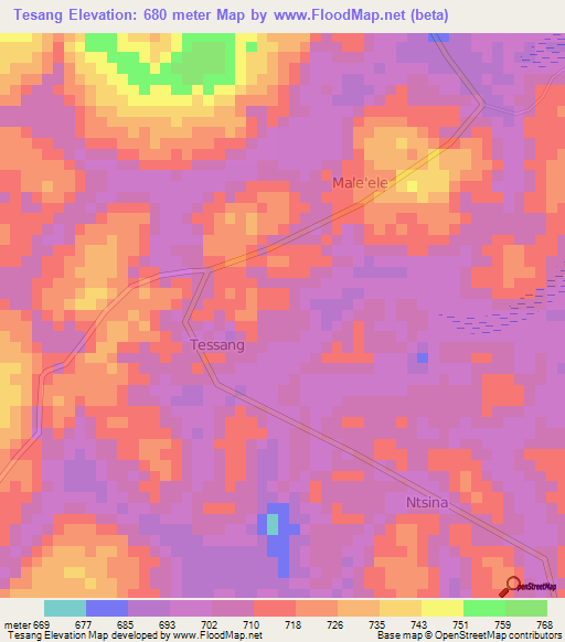 Tesang,Cameroon Elevation Map
