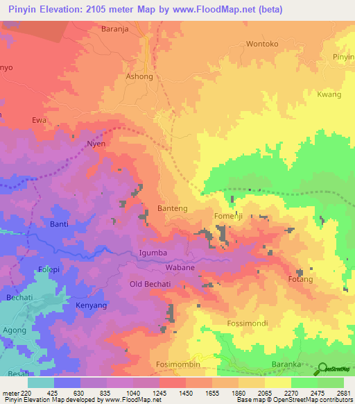 Pinyin,Cameroon Elevation Map