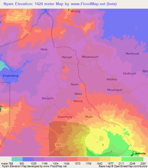 Nyam,Cameroon Elevation Map